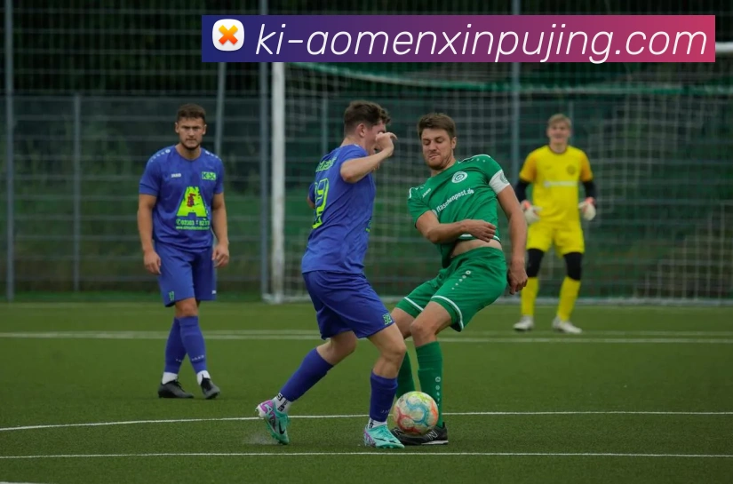 App Interface Preview