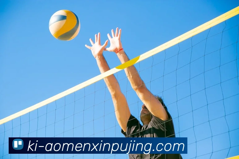 澳门新葡京娱乐APP 封面图